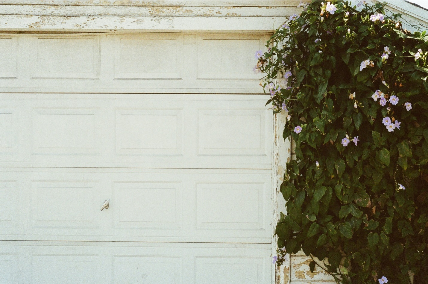 a closed garage